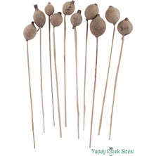 Yapay Çiçek Sitesi Kuru Çiçek Halo Kapsül 28 cm 10LU