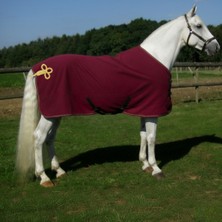 Yakasız Ip Detaylı Polar Blanket