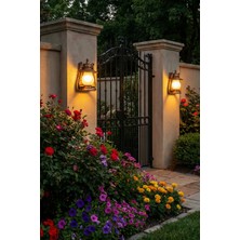 Billur Aydınlatma BA26/113 Metal Döküm Gövde Camlı Duvar Apliği