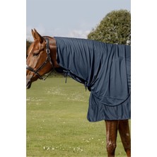 Waldhausen Health + Care Atlar Için Buz Katmanlı Soğutucu Boyunluk