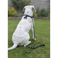 Balkonda Köpek Gezdirme Kayışı Tasması Boğma Model 6 cm Çap Iskoto Halat