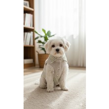 Patilemece Yeşil Beyaz Astarlı Taş Rengi Buklet Kedi Köpek Montu