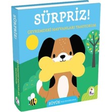 İndigo Kitap Sürpriz! - Çevremdeki Hayvanları Tanıyorum