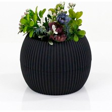 Mercan Saksı 2 Numara 0,35 Litre Su Hazneli Dekoratif Kaktüs Sukulent Saksı 11,8x9,2 cm