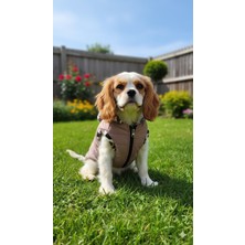 Patilemece Leopar Desenli Kahverengi Şişme Kedi Köpek Montu