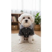 Patilemece Siyah Yıldızlı Içi Wellsoft Kedi Köpek Montu