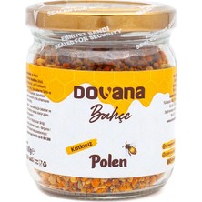 Dovana Polen Kavanoz