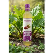 Lokmanzade Işgın Sirkesi (Rhubarb Vinegar) 500ML Ev Tipi Fermantasyon Yolu Ile Üretim