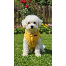 Patilemece Sarı Peluş Kedi Köpek Montu