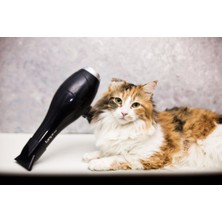 Normadia Profesyonel Ac Motor Saç Kurutma ve Fön Makinesi 2200W