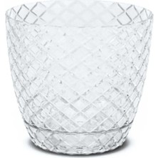 Esranın Dünyası 1 No Orkide Saksı 0,75 Lt. RSXML34-ESRDNS