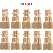 PremiumPort Dişi Hava Jakı 1/4" Uç, Set 10 Adet, Kompresör Uç, Hava Valfi