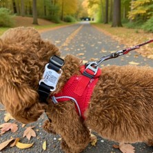 Askamp Evcil Hayvan Takip ve Dijital Kimliklendirme Cihazı