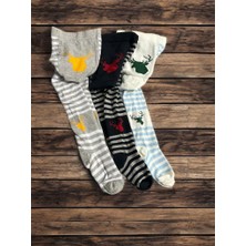 Bemp 3'lü Bebek Külotlu Çorap 6-12 Aylık