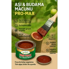 Aşı ve Budama Macunu 2’li Set – Hızlı Iyileşme ve Koruma