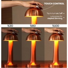 Buğz Mantar Dokunmatik LED Masa Lambası