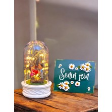 Normadia LED Işıklı Kalp Tutan Çiftli Fanus, Sevgiliye Özel Hediye