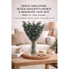Bontia Gerçek ve Şoklanmış Okaliptüs Seti – 4 Ana Dal, Yan Dallı Büyük Demet + Dekoratif Cam Vazo