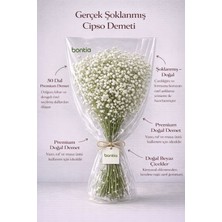 Bontia Gerçek Şoklanmış Büyük Cipso Demeti – Doğal Beyaz Dekoratif Çiçek, Uzun Ömürlü Premium Demet