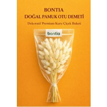 Bontia Doğal Pamuk Otu Demeti – Dekoratif Kuru Çiçek, Uzun Ömürlü Premium Lagurus
