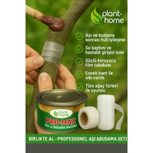 Aşı ve Budama Macunu + Silikonlu Aşı Bandı Seti – Profesyonel Aşı 2'li Bakım Seti