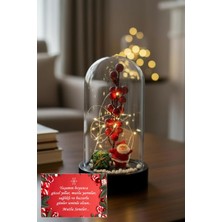 Normadia Yılbaşı Temalı Kokina ve Çiçekli Noel Baba LED Işıklı Fanus Büyük Boy