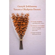 Bontia Gerçek Şoklanmış Turuncu Okaliptüs Demeti | Doğal Kokulu | Büyük Yaprak Büyük Demet