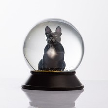 Normadia Siyah French Bulldog Cam ve Reçine Altın Patiler Kar Küresi