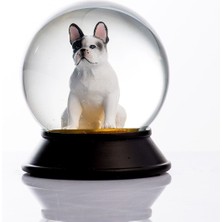 Normadia Beyaz French Bulldog Cam ve Reçine Altın Patiler Kar Küresi