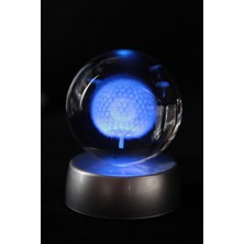 Normadia Karahindiba Çiçekli Cam Kule Işıklı Dekorasyon Standı