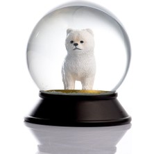 Normadia Beyaz Cam ve Reçine Altın Patiler Pomeranian Boo Kar Küresi