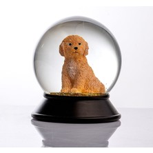 Normadia Kayısı Renkli Cam ve Reçine Altın Patilerli Toy Poodle Kar Küresi