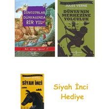 İş Bankası Kültür Yayınları Dinozorlar Dünyasında Bir Yıl: Bul, Eğlen, Öğren! + Dünyanın Merkezine Yolculuk + Siyah Inci Hediye