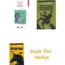 Can Çocuk Yayınları Bay ve Bayan Kıl + Dünyanın Merkezine Yolculuk + Siyah Inci Hediye