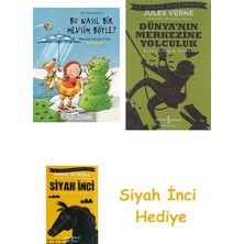 İş Bankası Kültür Yayınları Bu Nasıl Bir Mevsim Böyle?: Eğlenceli Ara-Bul Kitabı - Mevsimler + Dünyanın Merkezine Yolculuk + Siyah Inci Hediye