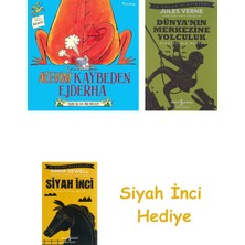 Domingo Yayınevi Alevini Kaybeden Ejderha + Dünyanın Merkezine Yolculuk + Siyah Inci Hediye