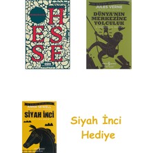 Yapı Kredi Yayınları Bozkırkurdu + Dünyanın Merkezine Yolculuk + Siyah Inci Hediye