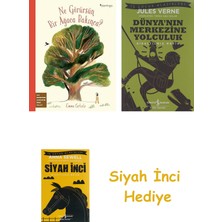 Domingo Yayınevi Ne Görürsün Bir Ağaca Bakınca? + Dünyanın Merkezine Yolculuk + Siyah Inci Hediye