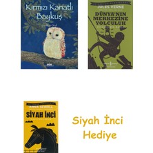 Yapı Kredi Yayınları Kırmızı Kanatlı Baykuş (Karton Kapak) + Dünyanın Merkezine Yolculuk + Siyah Inci Hediye