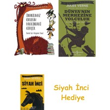 Günışığı Kitaplığı Inanılmaz Okulum Hakkındaki Gerçek + Dünyanın Merkezine Yolculuk + Siyah Inci Hediye