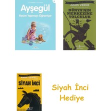 Yapı Kredi Yayınları Ayşegül - Resim Yapmayı Öğreniyor + Dünyanın Merkezine Yolculuk + Siyah Inci Hediye