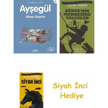 Yapı Kredi Yayınları Ayşegül - Yılbaşı Sürprizi + Dünyanın Merkezine Yolculuk + Siyah Inci Hediye