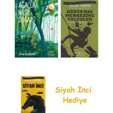 Domingo Yayınevi Ağaçlar Nasıl Doğar? + Dünyanın Merkezine Yolculuk + Siyah Inci Hediye