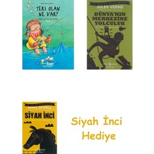 İş Bankası Kültür Yayınları Ters Olan Ne Var ?: Eğlenceli Ara-Bul Kitabi Tatil + Dünyanın Merkezine Yolculuk + Siyah Inci Hediye