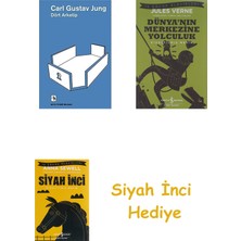 Metis Yayıncılık Dört Arketip + Dünyanın Merkezine Yolculuk + Siyah Inci Hediye