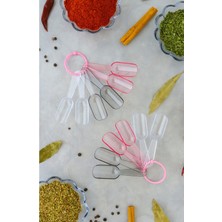 PremiumPort 9 cm Yüksek Kalite Mini Baharat Kaşıkları Seti Gümüş Renk