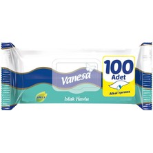 5 Adet Vanesa Islak Havlu 100'LÜ