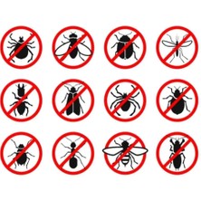 Alfa Tagro Ergin Akrep ve Genel Haşere Böcek Ilaçları Tagro 50ML-İCON 20ML 2lt Ilaçlama P.