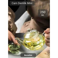 PremiumPort Şeffaf Cam Demlik, Süzgeçli, 250 Ml, Isıya Dayanıklı, Borosilat Çay Demliği