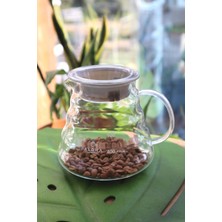 PremiumPort 600ML Cam Kahve Demliği, Şık ve Dayanıklı Tasarım